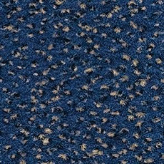 Ковролин Balsan Zenith Roll 158 фото 1 | FLOORDEALER